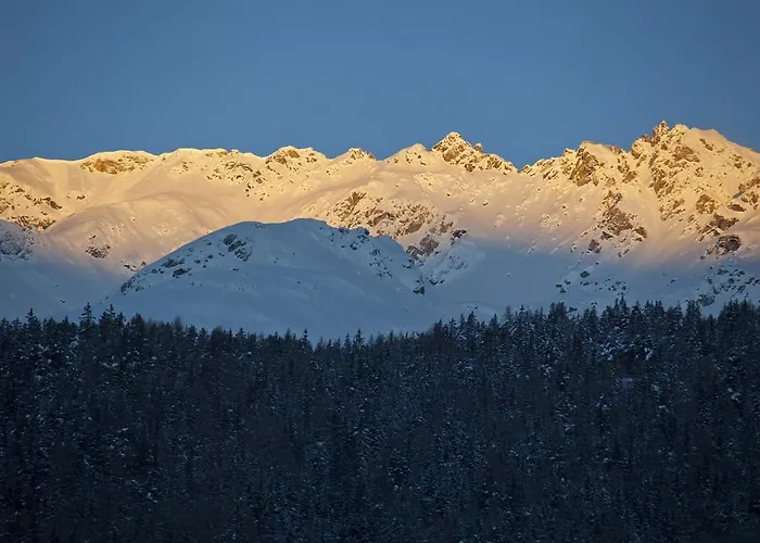 酒店 Alte Schmiede 瑙德斯